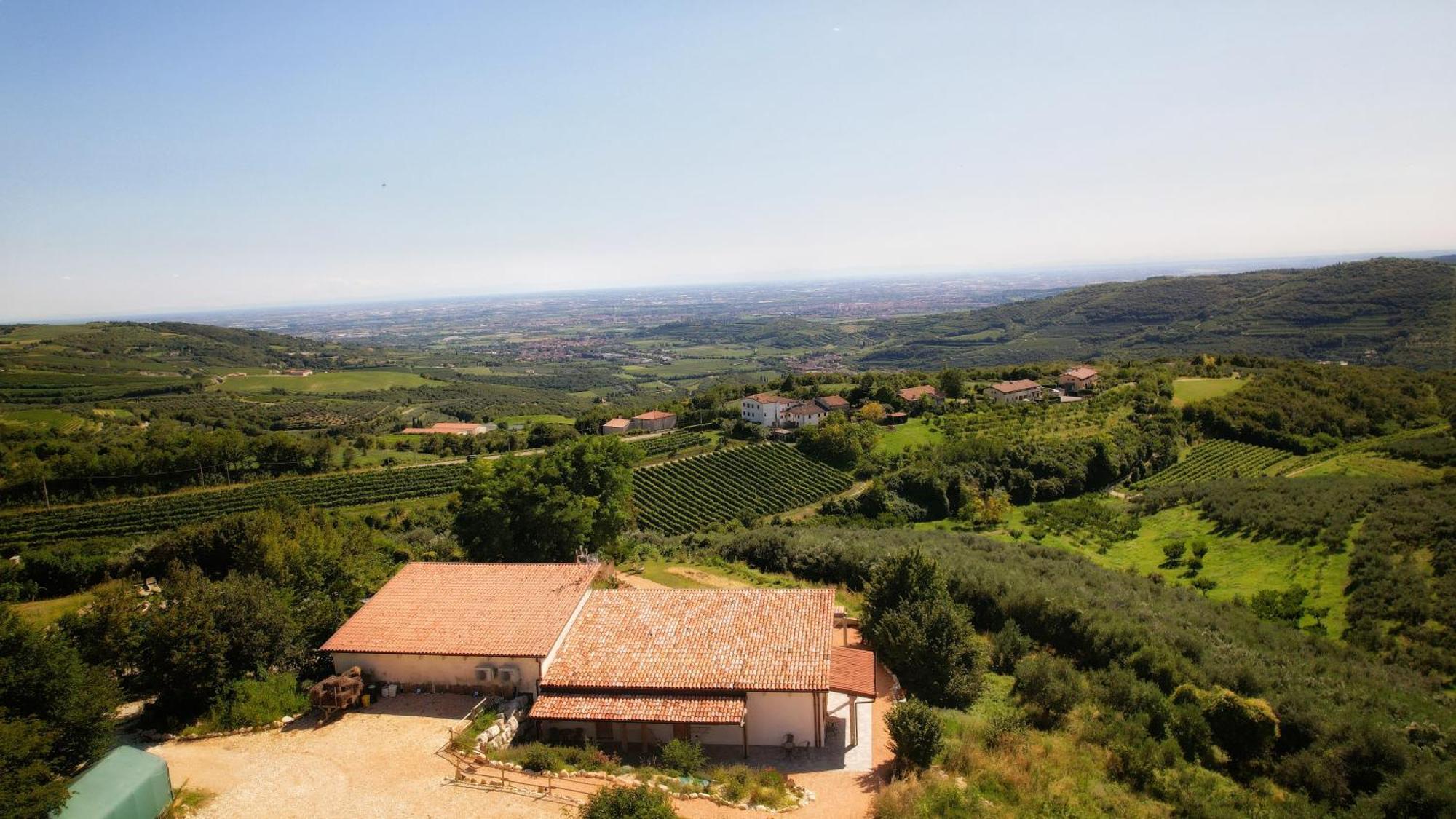 Alojamento de Turismo Rural La Perlara - Adults Only