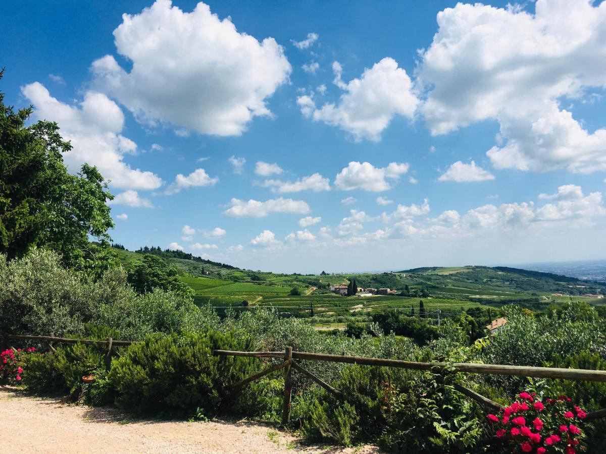 La Perlara Alloggio per agriturismo *